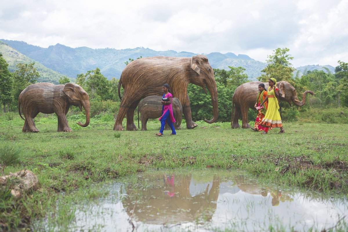 Lantena elephants