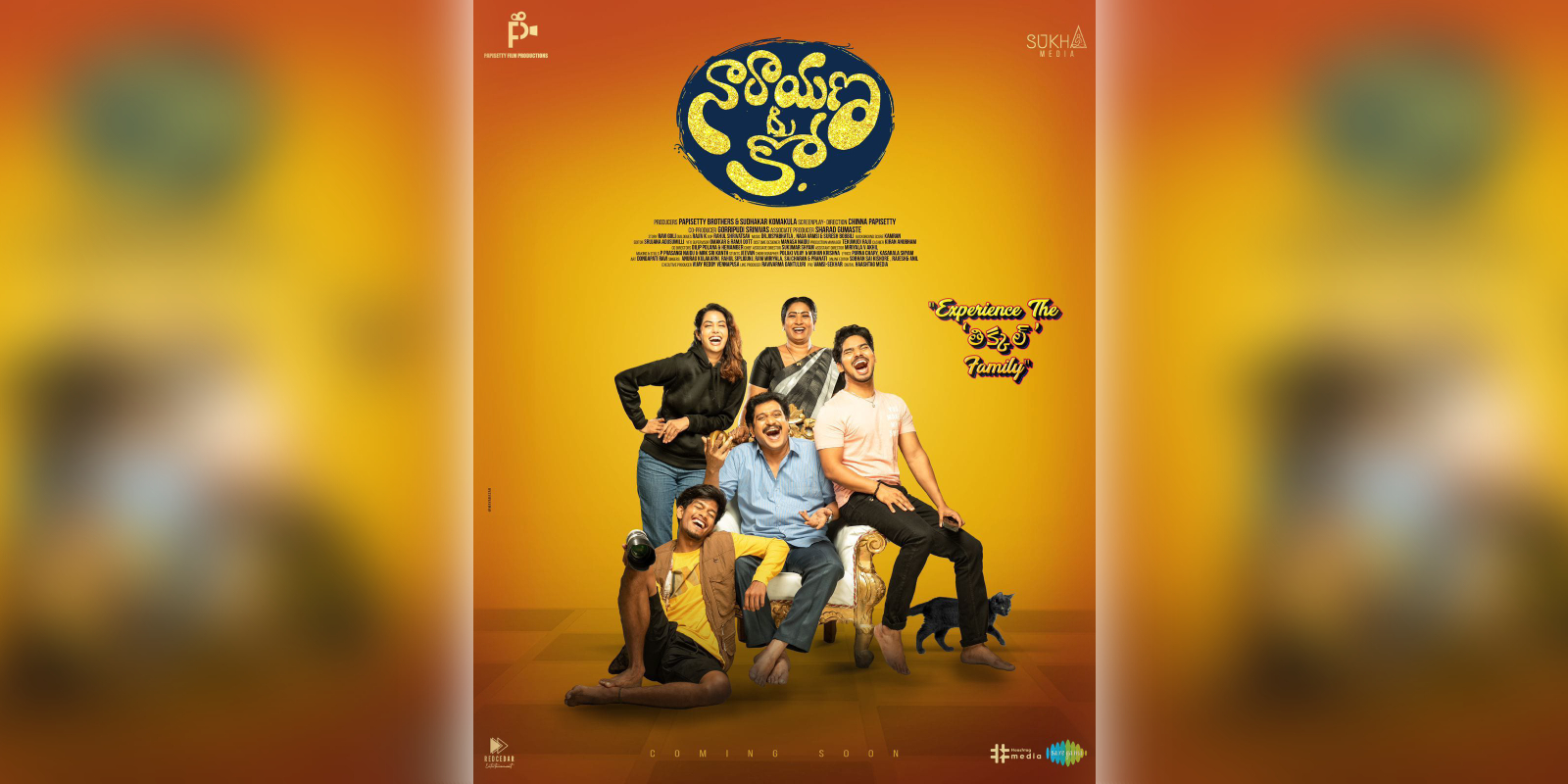 Narayana & Co