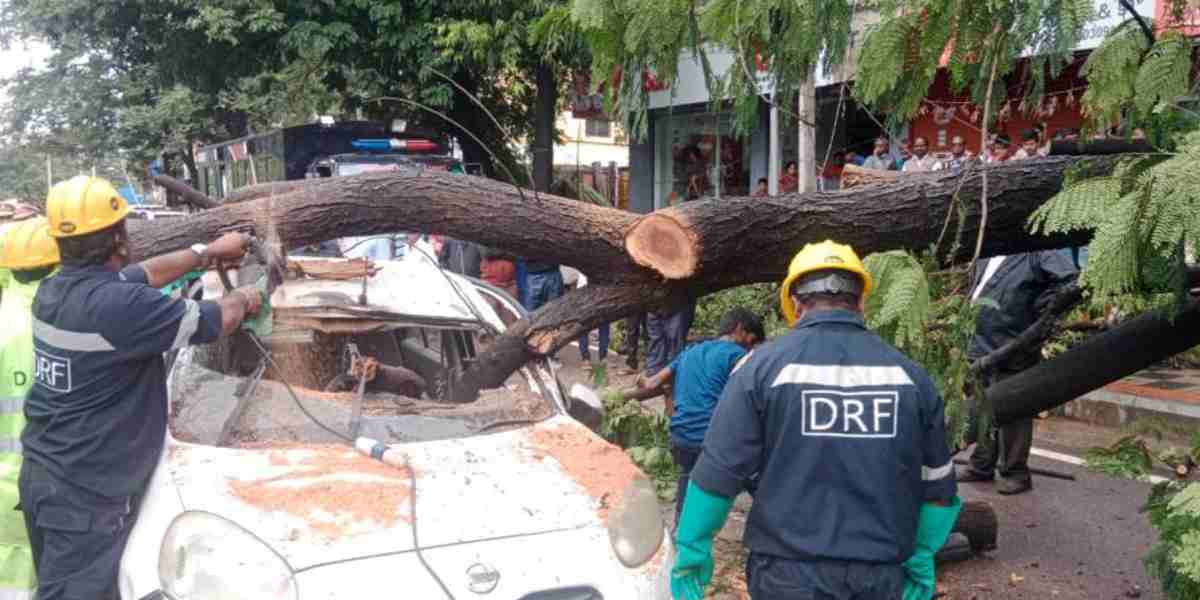 Telangana rains: Central team to visit flood-affected districts from 31 July