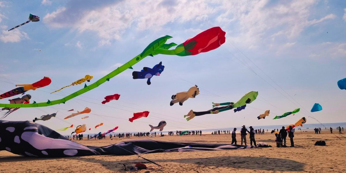 This year's event will take place from 12 to 15 August 2023 at the scenic TTDC Ocean View Mahabalipuram.