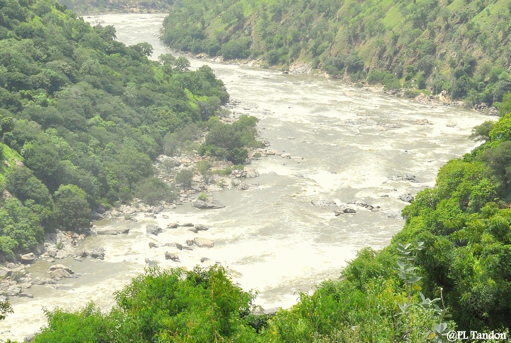 Cauvery Water Regulation Committee recommends Karnataka release 3,000 cusecs of water to Tamil Nadu till 15 October. (Flickr)