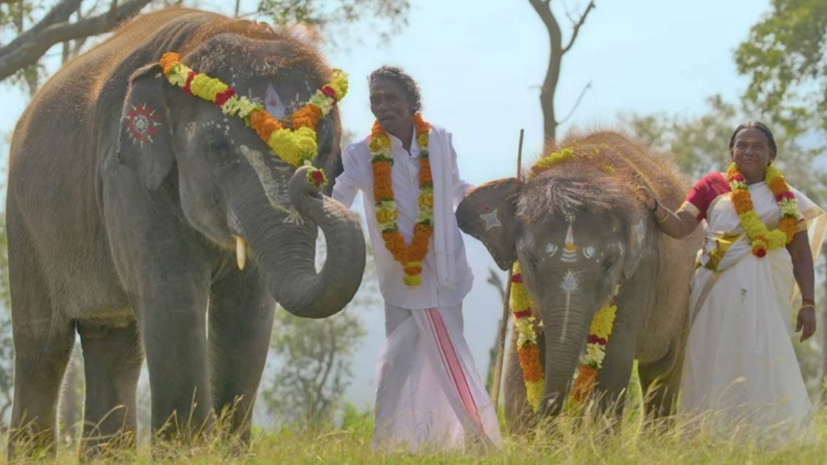 Bomman and Bellie the elephant whisperers