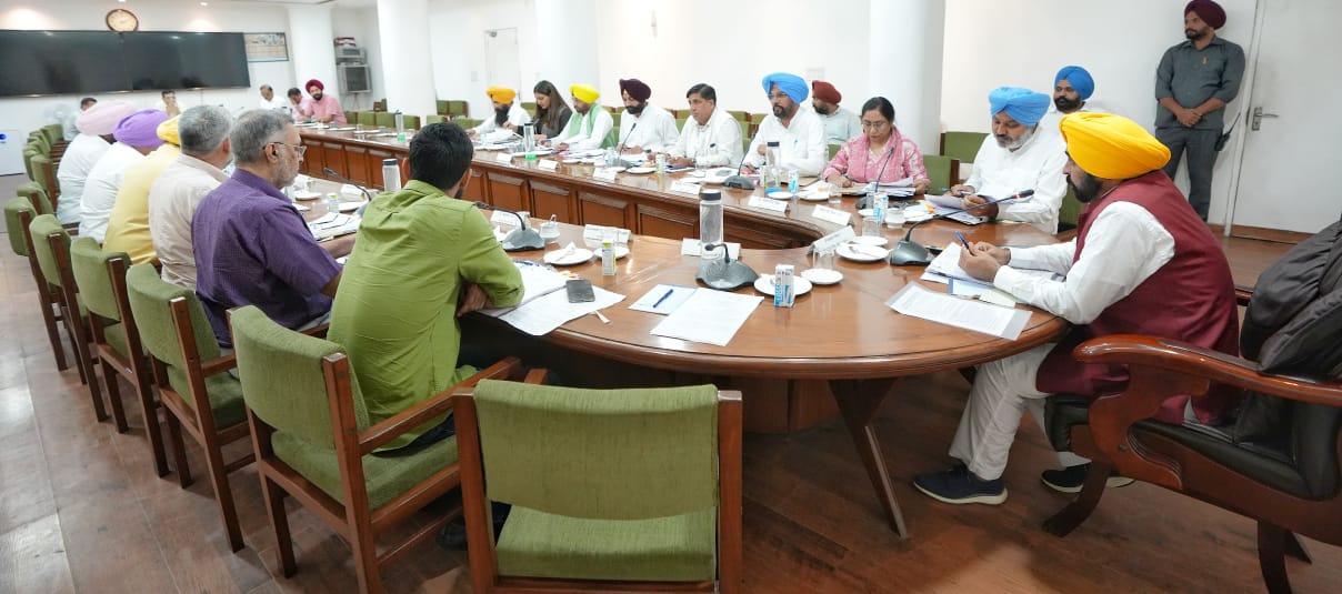 Punjab cabinet decision road safety force