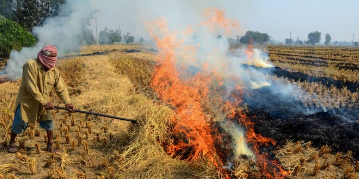 Stubble burning in Punjab