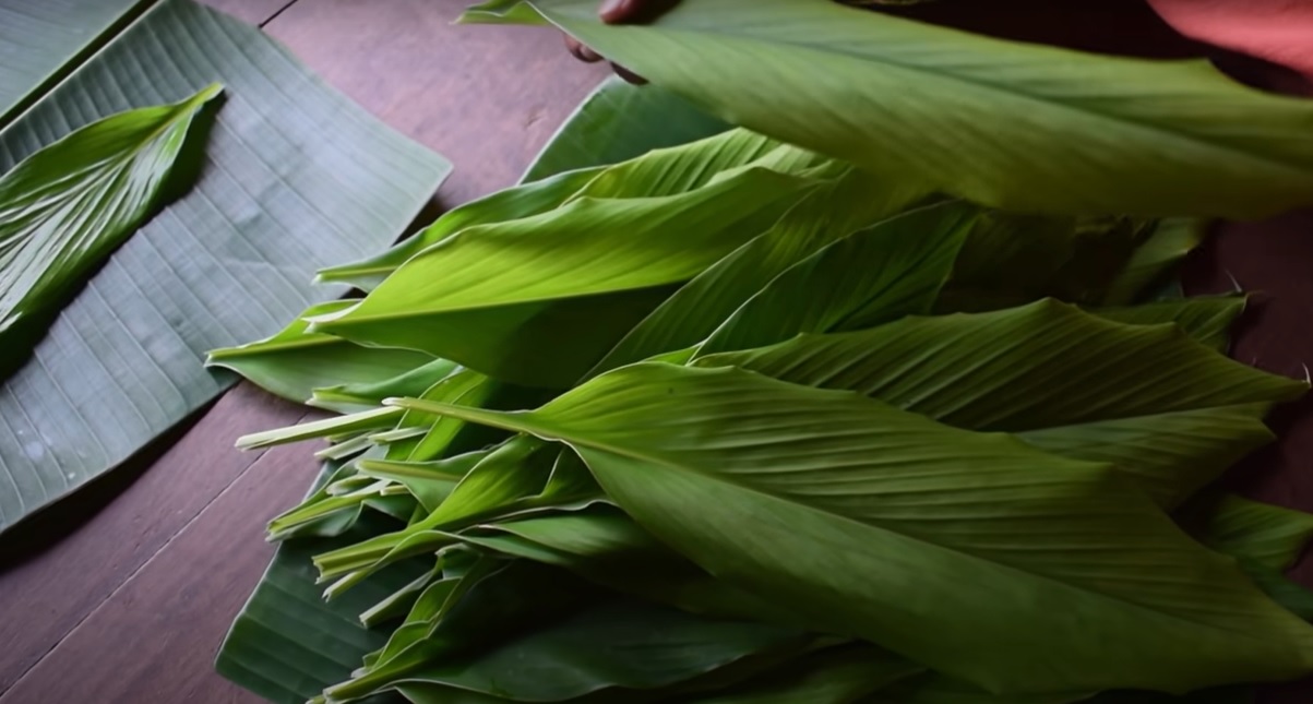 Turmeric leaves. (Supplied)