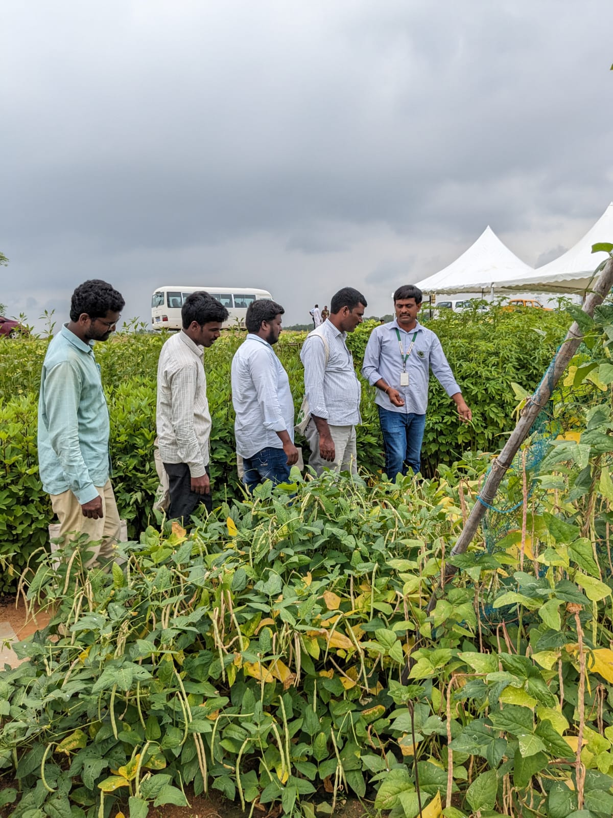 The programme was conducted by The World Vegetable Center at ICRISAT, who took farmers on a tour of the fields in the Center. (Supplied)
