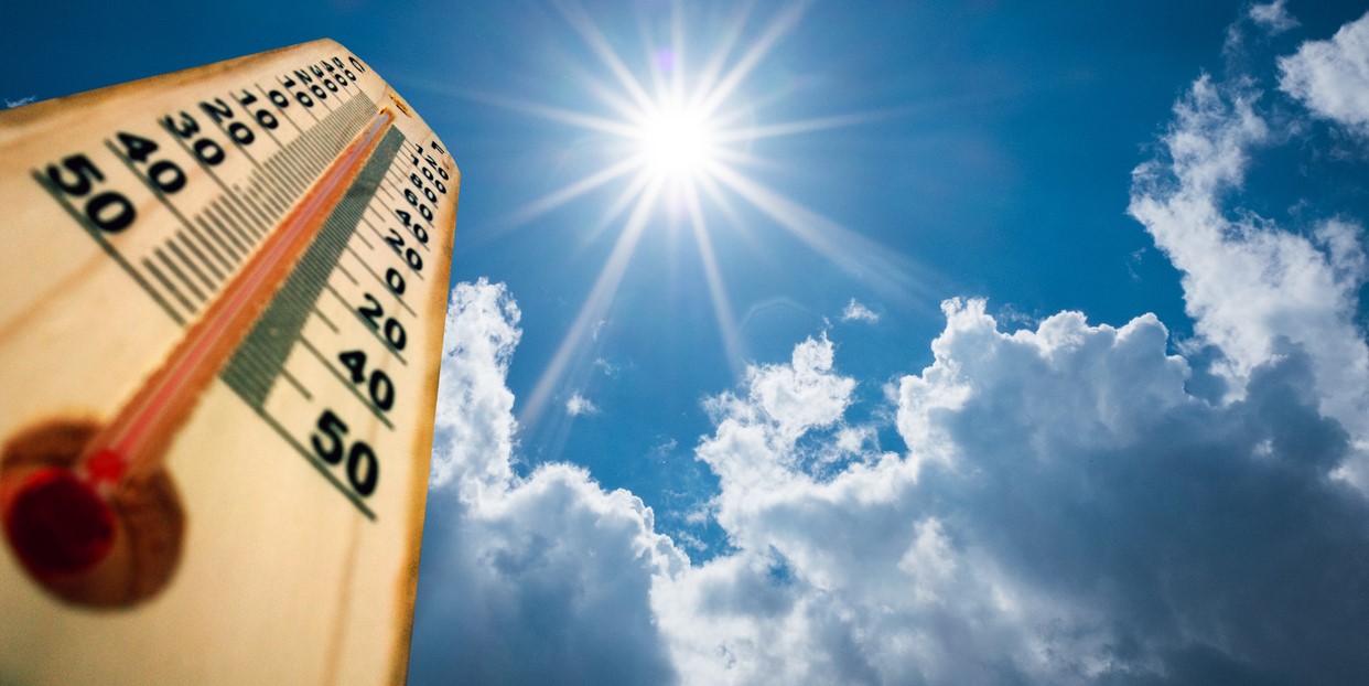Hottest August in Tamil Nadu: Why the state should have a functional Heat Action Plan