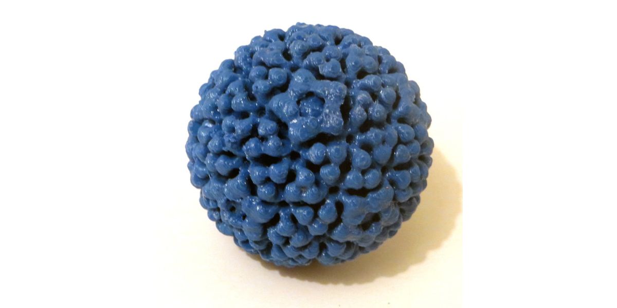 HPV in men
