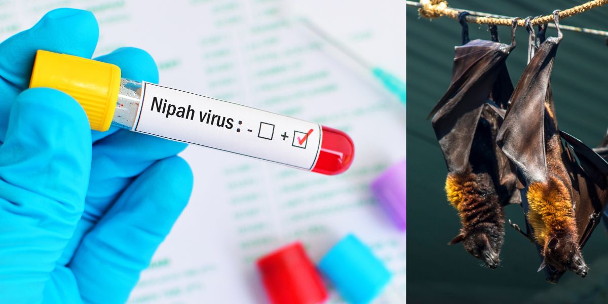Nipah confirmed in Kozhikode