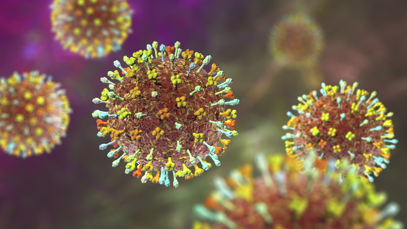 Nipah virus Kerala