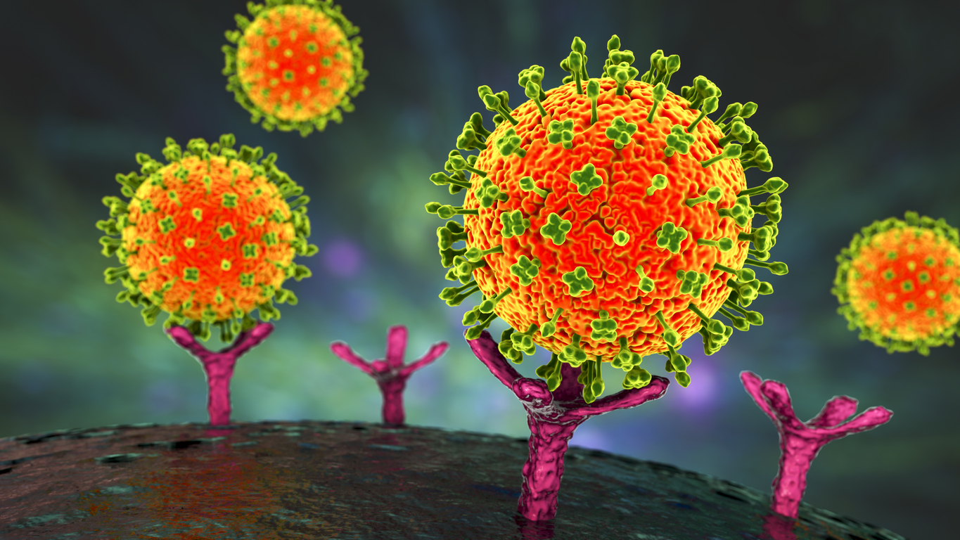Nipah virus Kerala