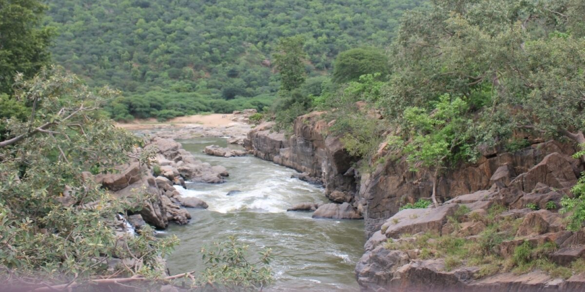 Sandalwood actors react to Cauvery river dispute