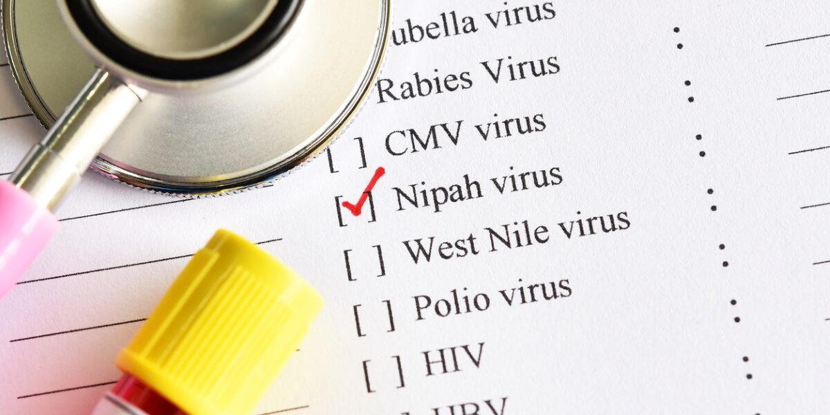 Truenat portable tests for Nipah virus. (iStock)