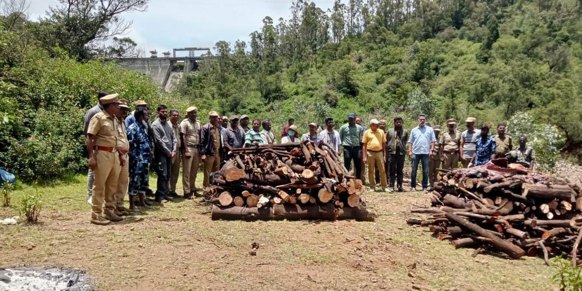 The carcasses were consigned to flames after postmortem. (Supplied)