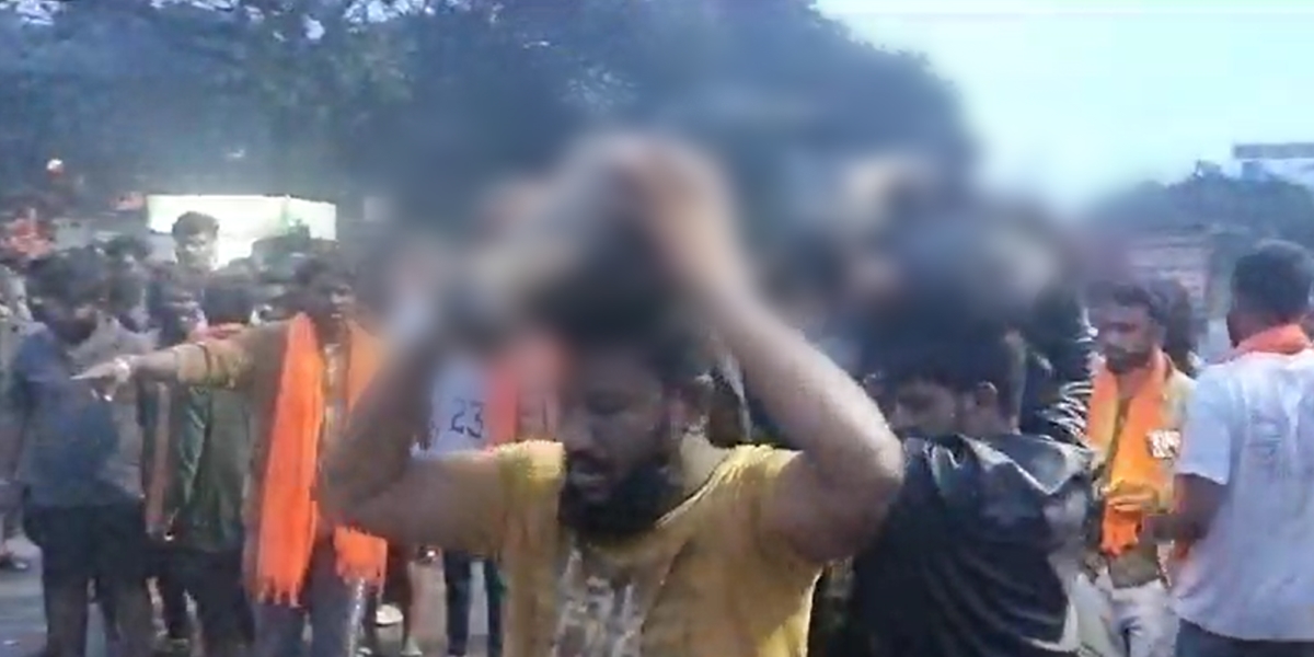 cow vigilantes