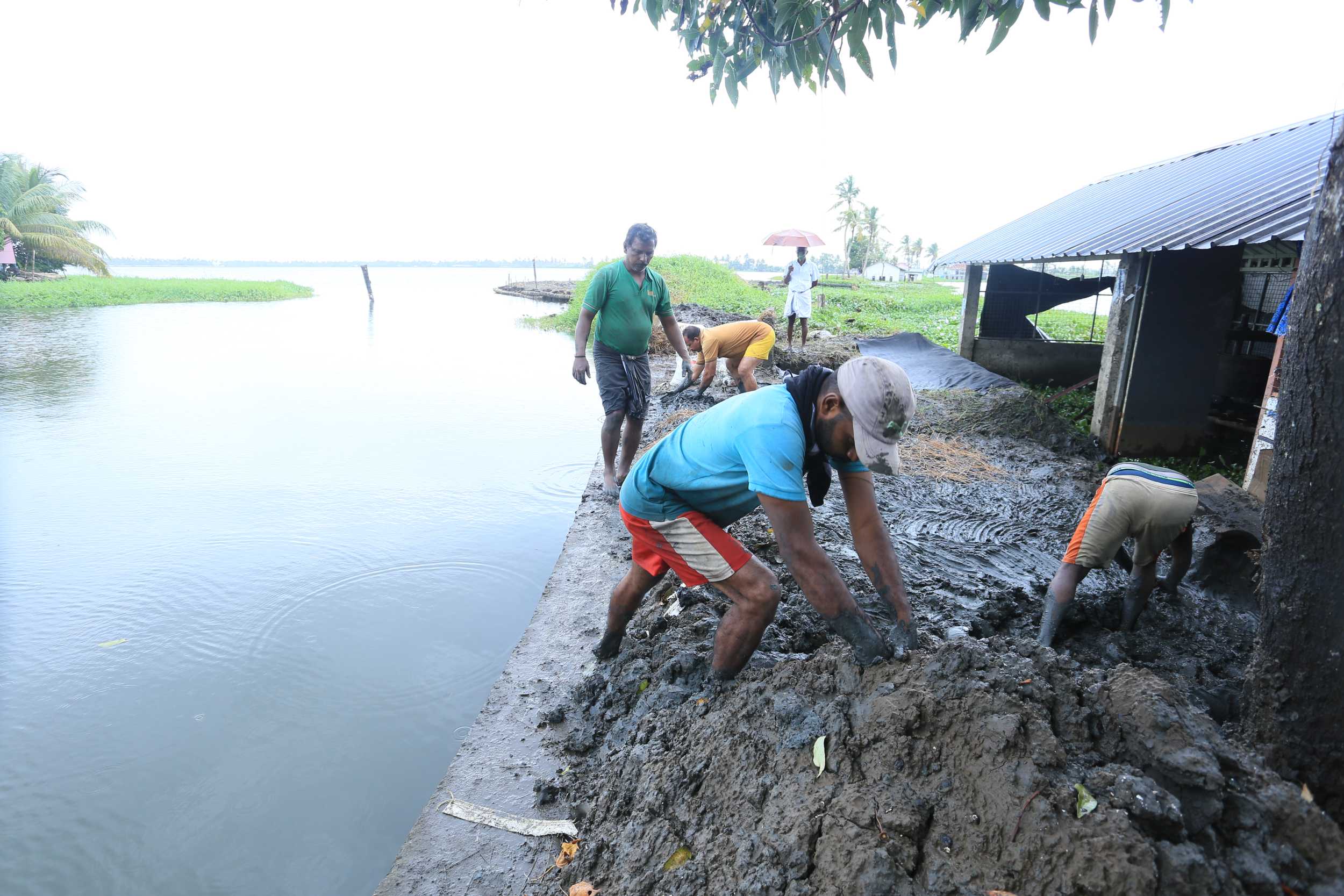 Kuttanad