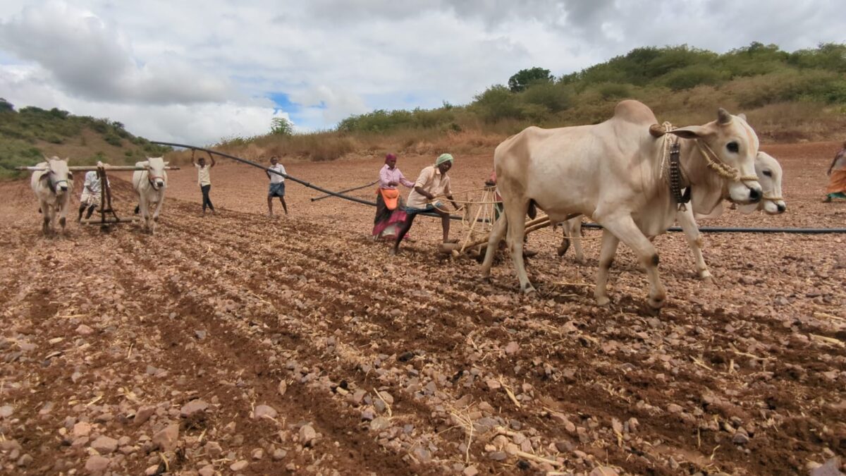 Land beat aadhar seeding