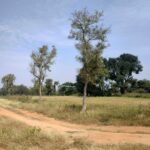Land of farmers in Elchipur and Adloor Yellareddy