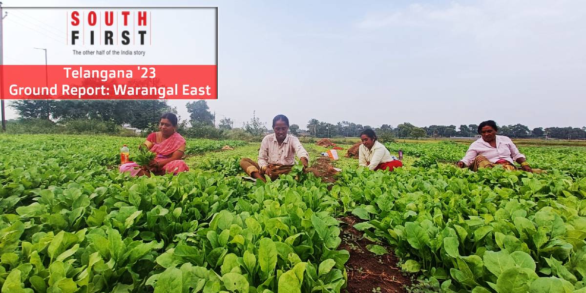 Warangal East Telangana Assembly polls