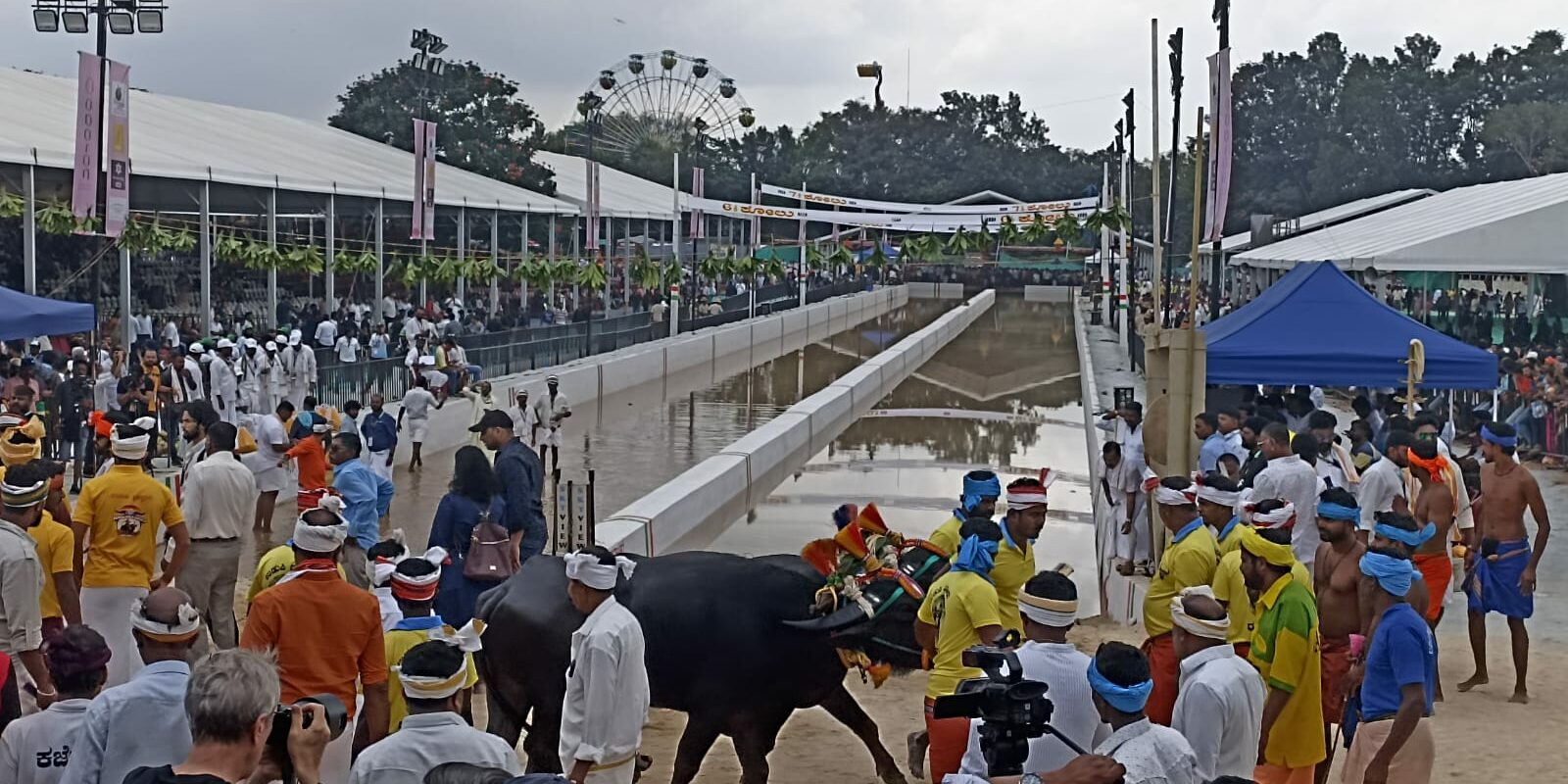 The Bengaluru Kambala at Palace Grounds