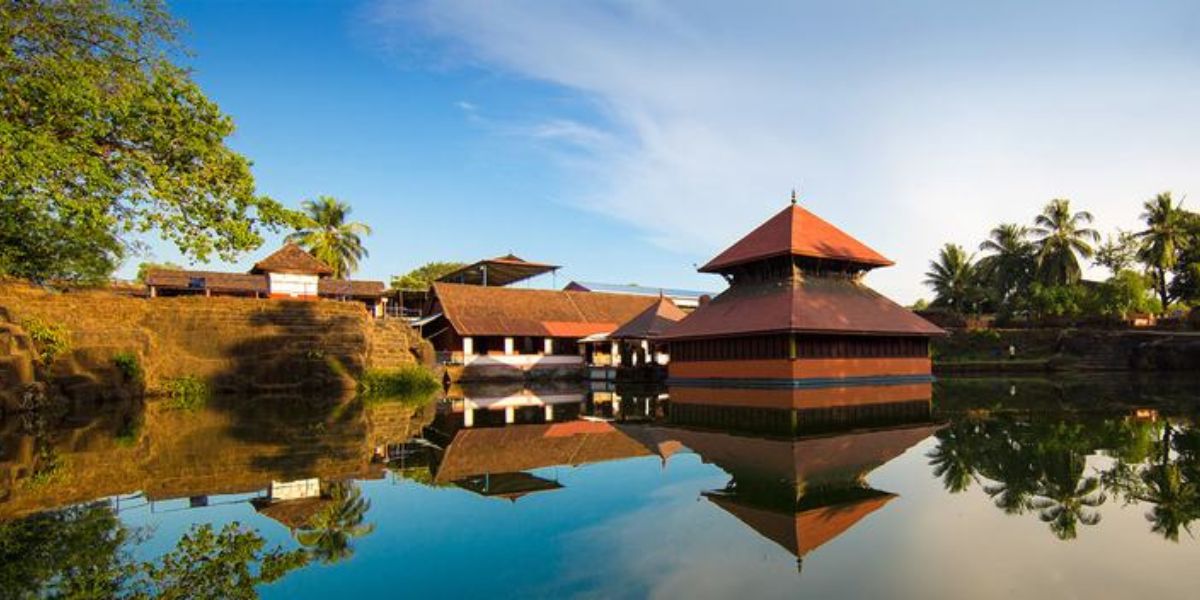 Kasaragod’s ‘sacred’ crocodiles: How did ‘bachelor’ Babiya get a successor in the Ananthapadmanabha Swamy Temple pond?