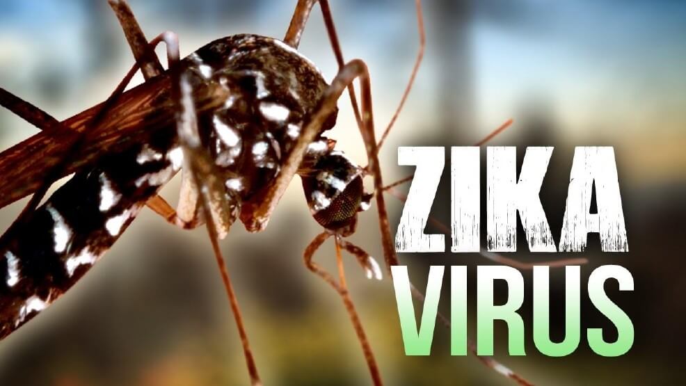 Zika virus, a vector-borne disease, was reported in several Indian states, including Telangana and Kerala. (Wikimedia Commons)