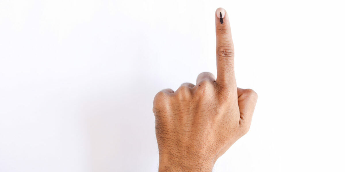 Fake voter id cards
