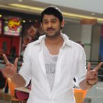 Prabhas in Mr Perfect