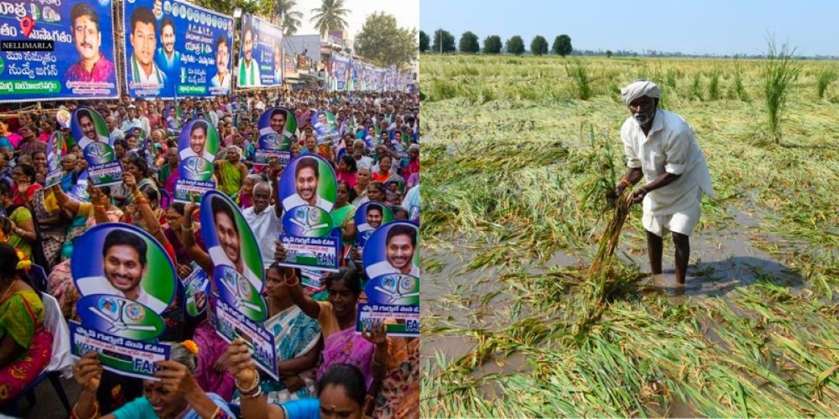 Farming fields got submerged due to heavy rains triggered by the cyclone. (Supplied)
