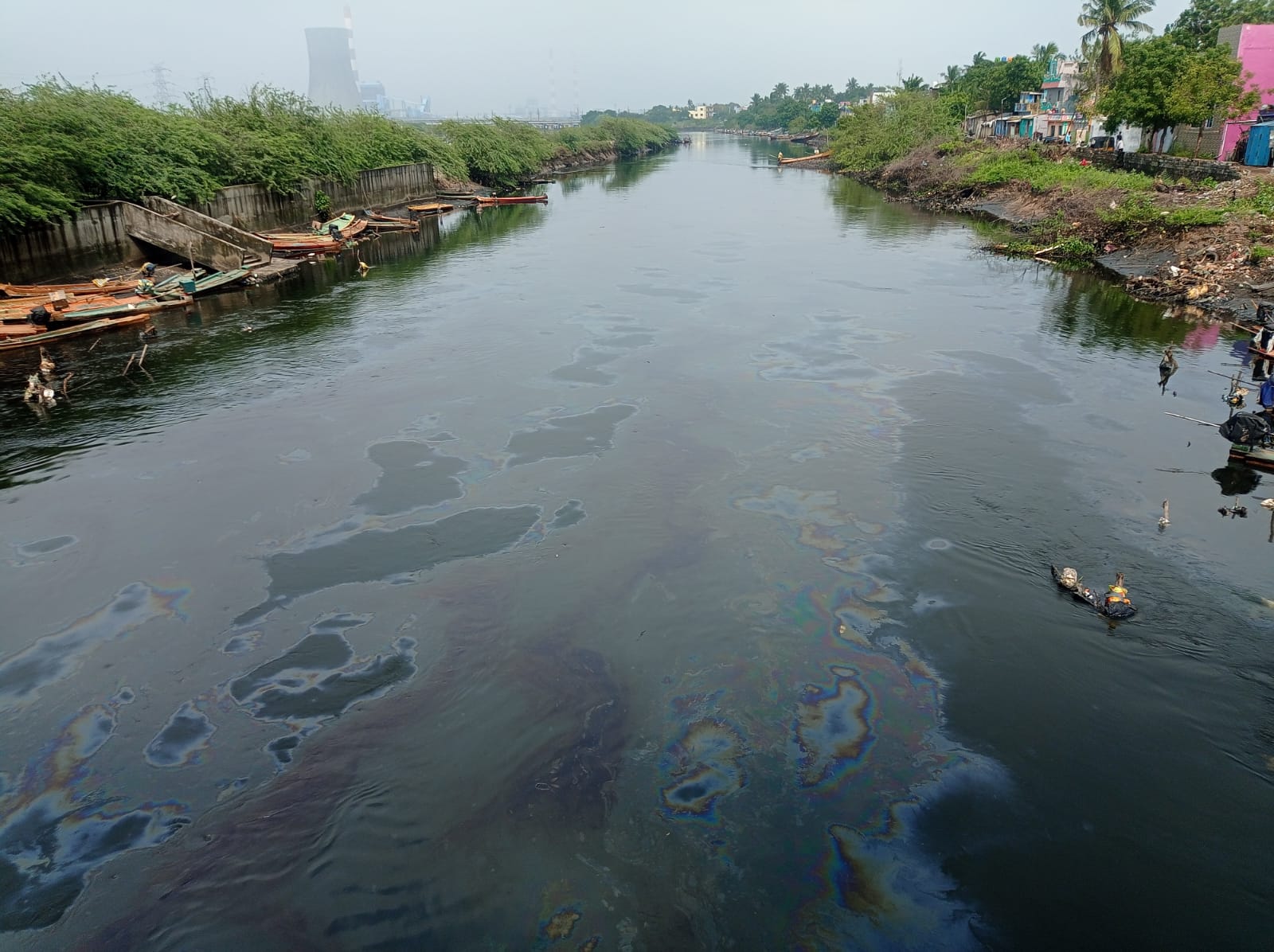 When the rivers of Ennore ran oily. (Supplied)