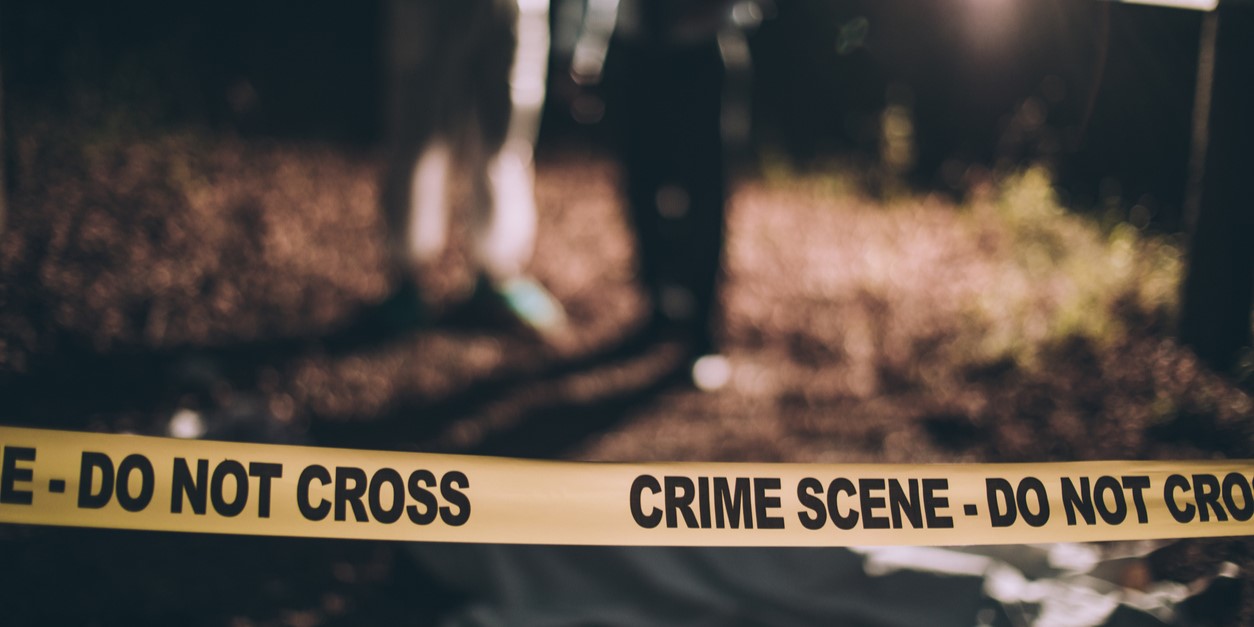 Sheena Bora murder case