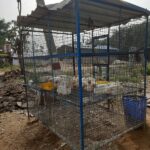 Chicken for sale near Medaram