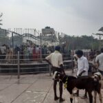 Devotees near the Sammakka Gadde