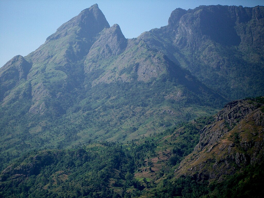Kerala police lost in forest