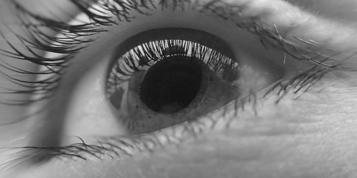 LV Prasad Eye Institute, corneal damage: The Indian Patent Office has granted this patent, valid for 20 years under the guidelines of the Patents Act, 1970. (Creative Commons)