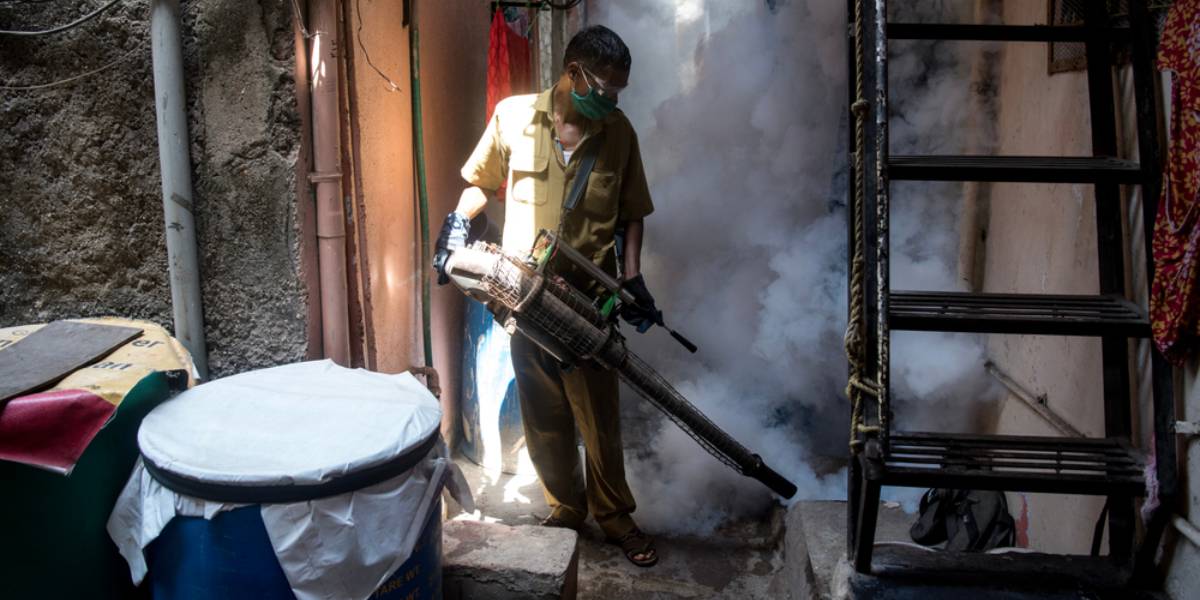 Aedes mosquitoes, responsible for dengue transmission, are known for their aggressive day-biting behaviour and the ability to survive indoors for an extended period. (Shutterstock)