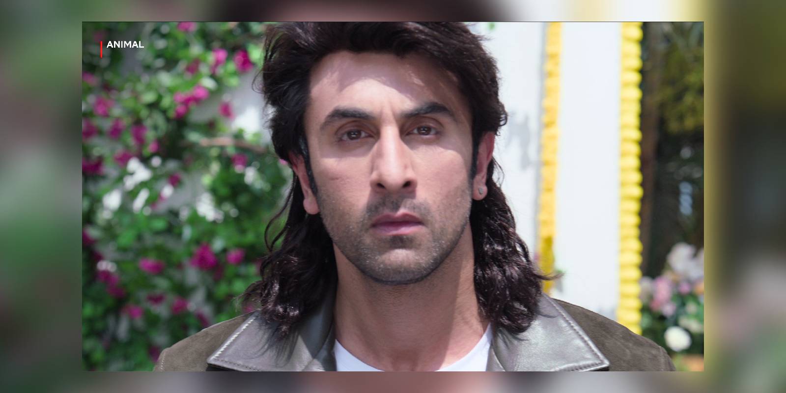 Ranbir Kapoor's Animal gained over 20 million viewing hours on Netflix