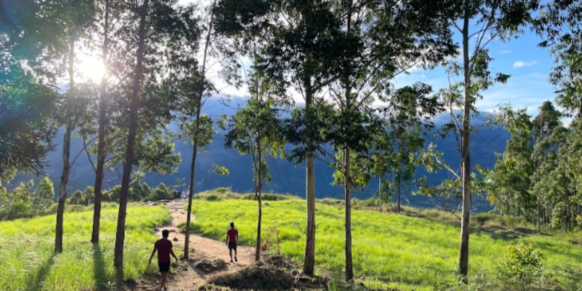 South India's unique travel experience serves a kaleidoscope of landscapes, heritage, architecture and cultural delights.