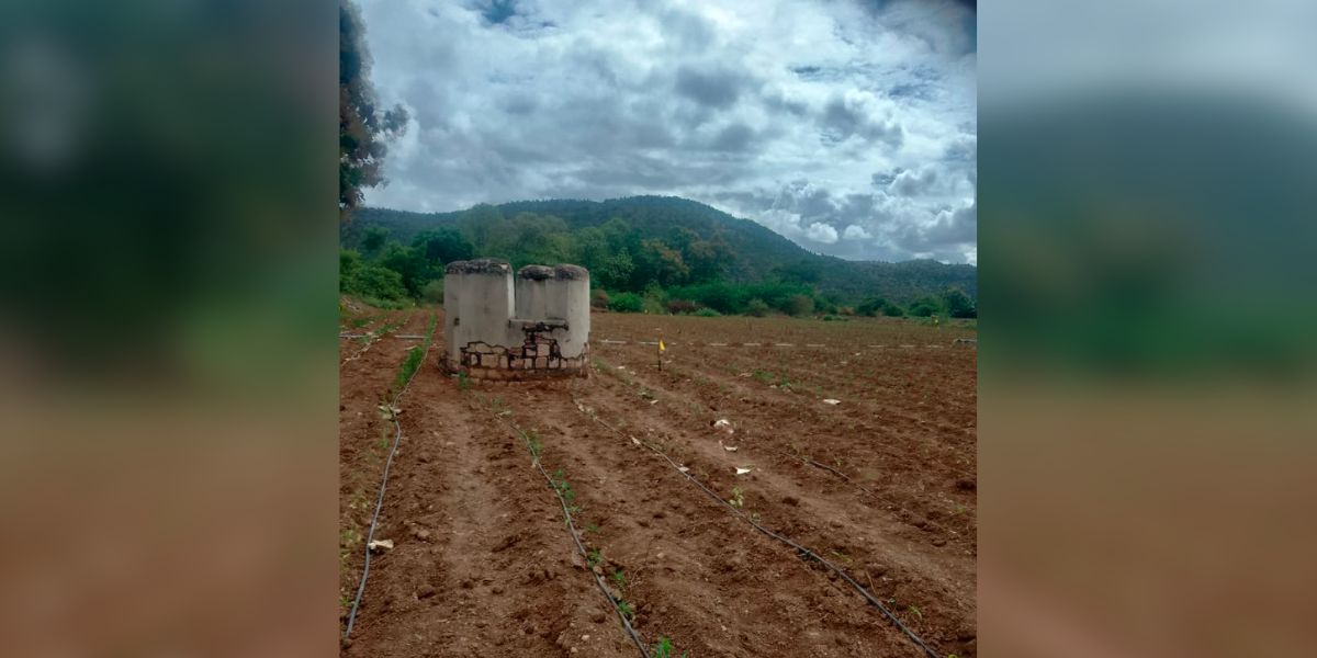 The burial ground allegedly converted to the mirchi farm. (Supplied)