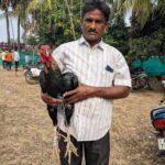 A man with the fighter cock