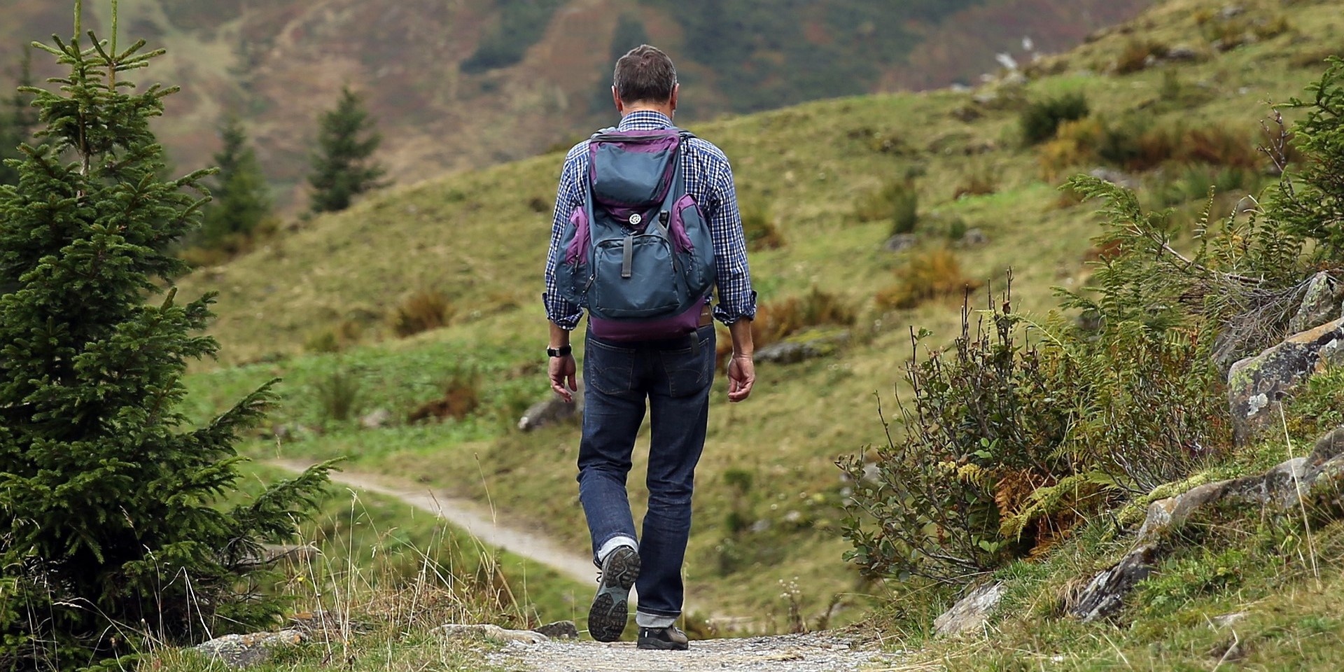 Karnataka Forest Department temporarily bans trekking at sites lacking online booking facility