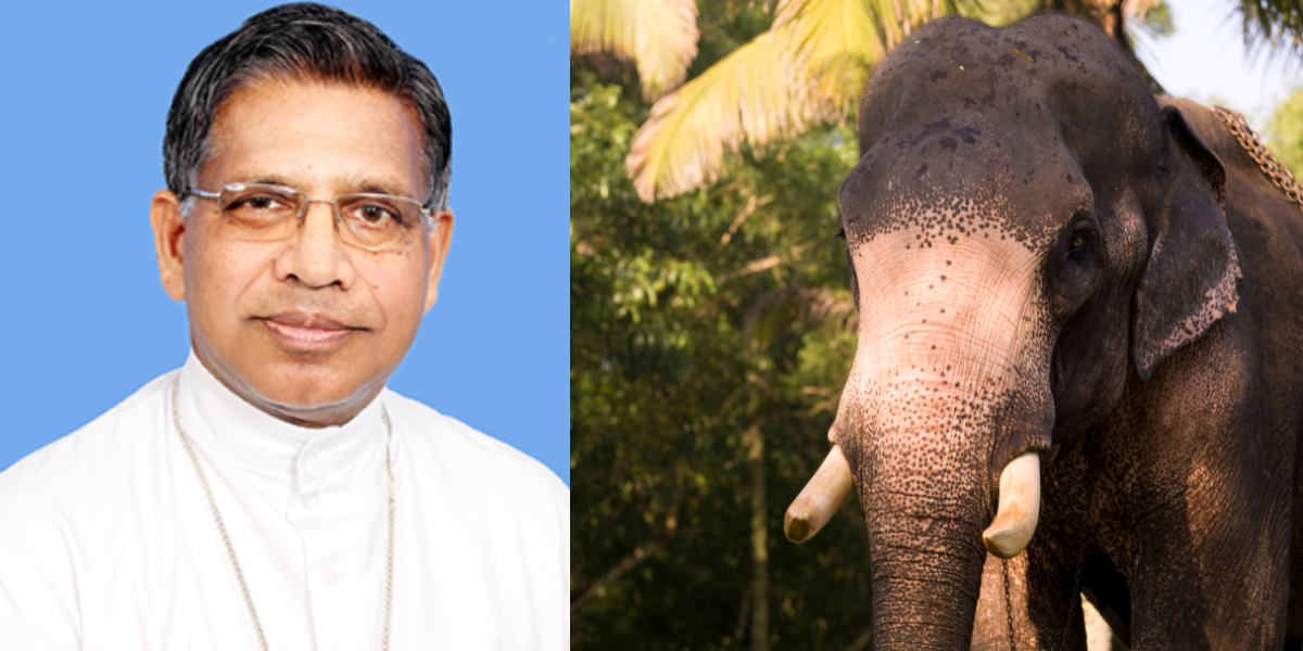 Mananthavady Bishop of the Syro-Malabar Catholic Church, Mar Jose Porunnedom. (Official website)