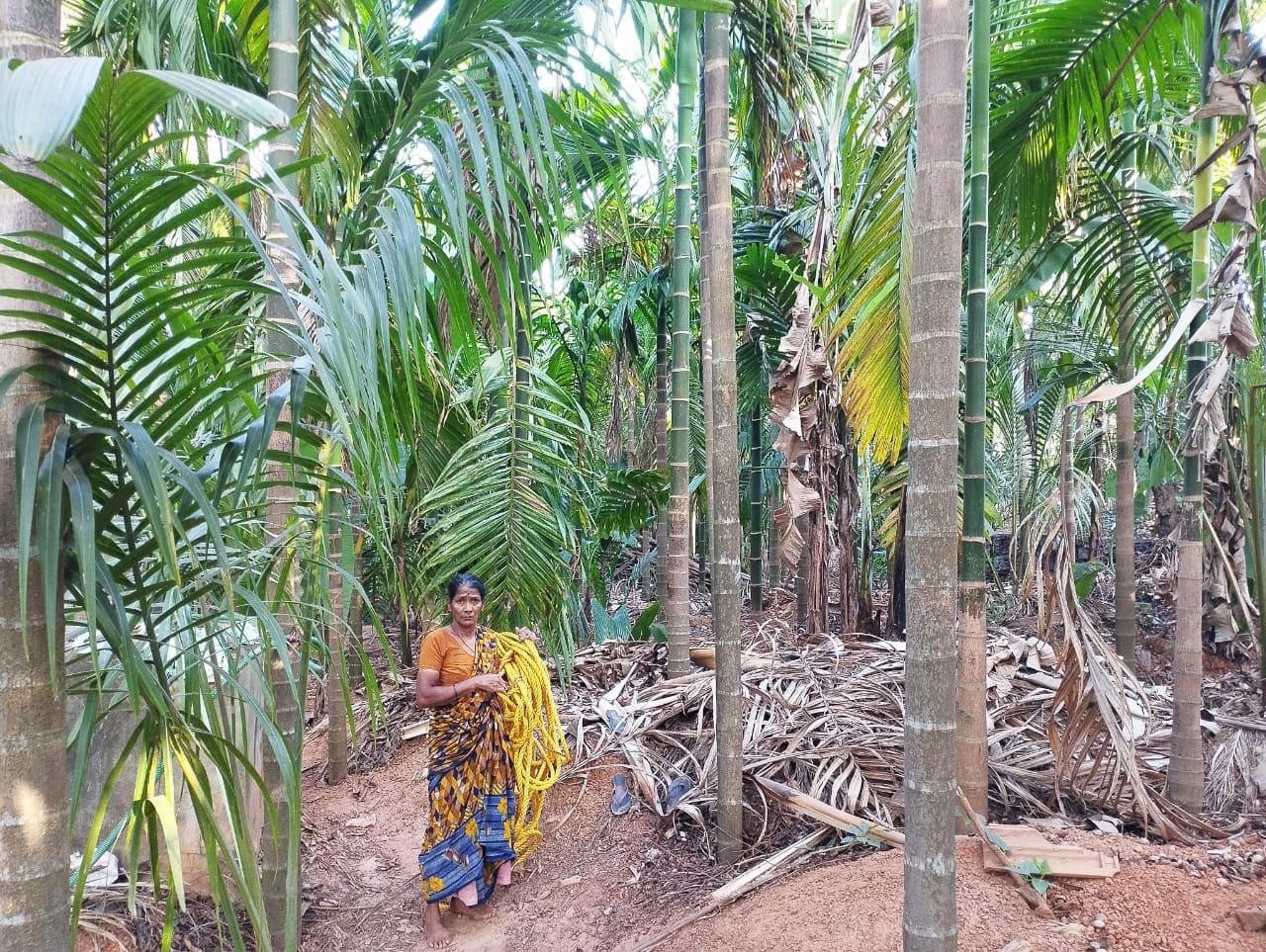 Grit and an eye for perfection drive Gowri Naik of Ganesh Nagar at Sirsi in Uttara Kannada district. (Supplied)