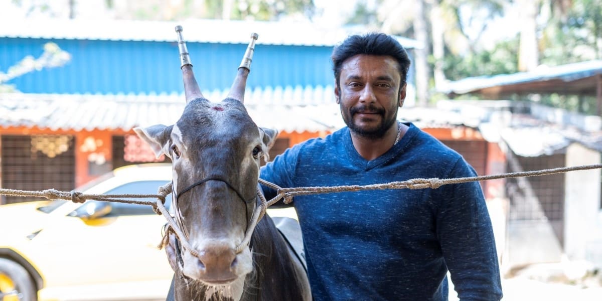 Actor Darshan in Renukaswamy murder