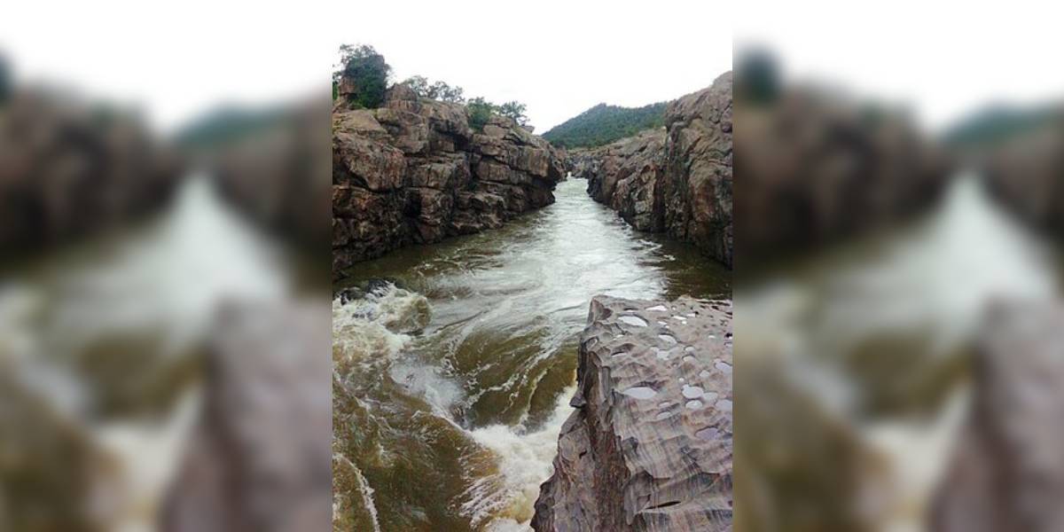 Tamil Nadu has raised concern over the frequent inclusion of Karnataka's proposal to construct a balancing reservoir across the Cauvery River at Mekedatu in the agenda of CWMA. (File pic/Wikimedia Commons)