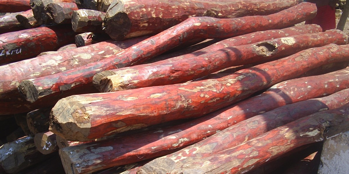 Red Sandalwood