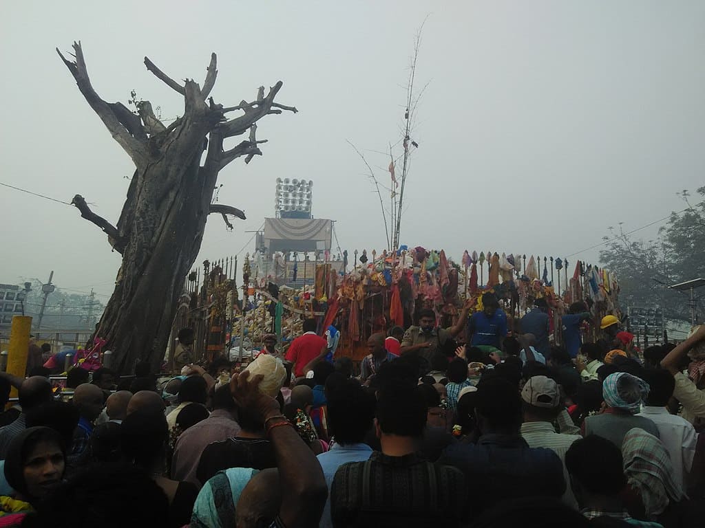 The Jathara, which is a state festival of Telangana government, will have tribals worship the tribal folk goddesses Sammakka' and her daughter 'Saralamma'. (File pic/Kasyap/Wikimedia Commons)