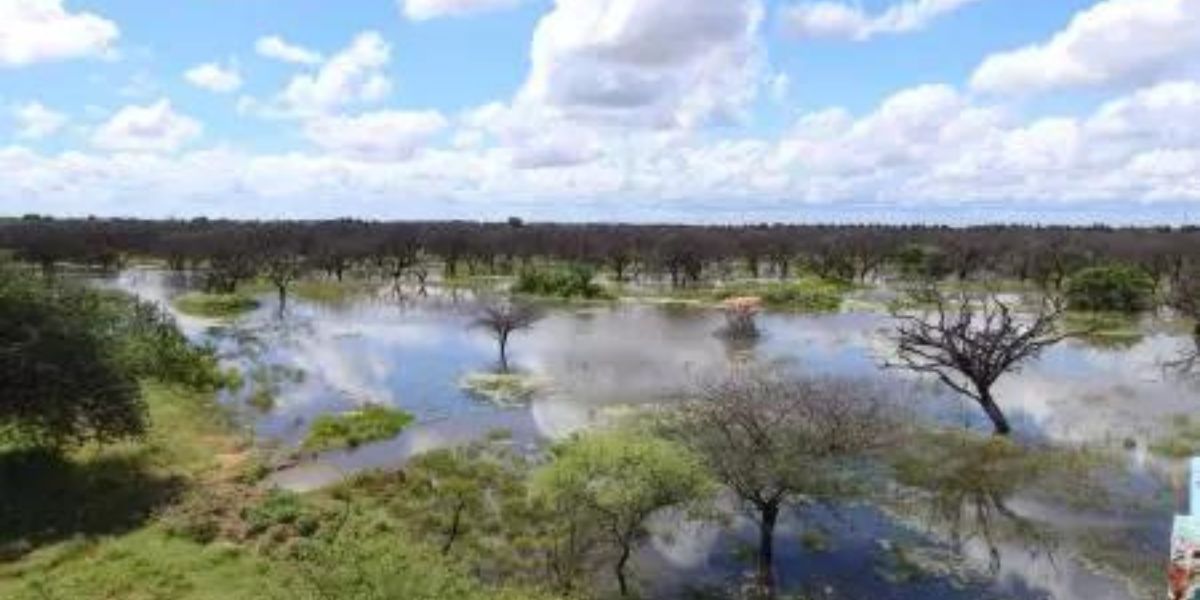 India has designated five new Wetlands of International Importance, taking its total number of Ramsar Sites to 80. (ramsar.org)