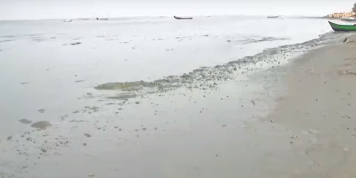 Sea receded in Alappuzha.