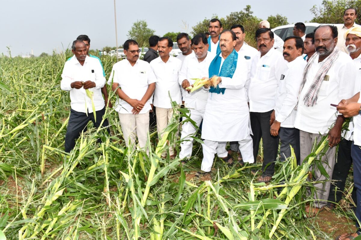 IMD issues yellow alert for Telangana from 18 to 21 March as hailstorm damages crops